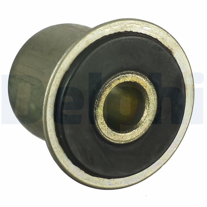 Delphi TD1031W Mounting, leaf spring - 1