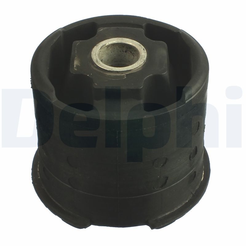 Delphi TD1060W Bushing, axle beam - 1