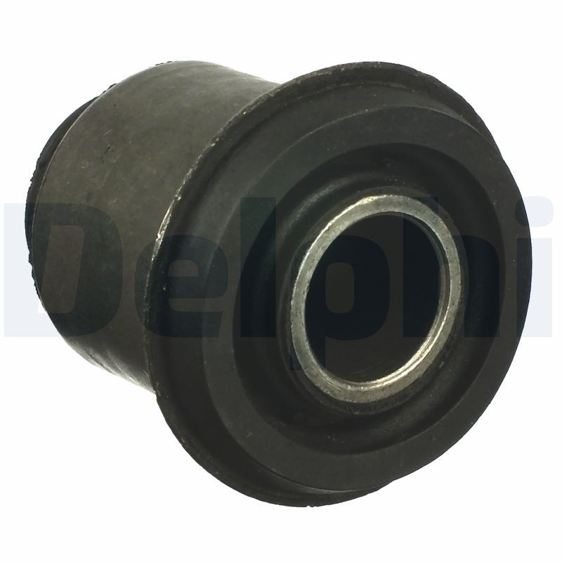 Delphi TD1063W Mounting, control/trailing arm - 1