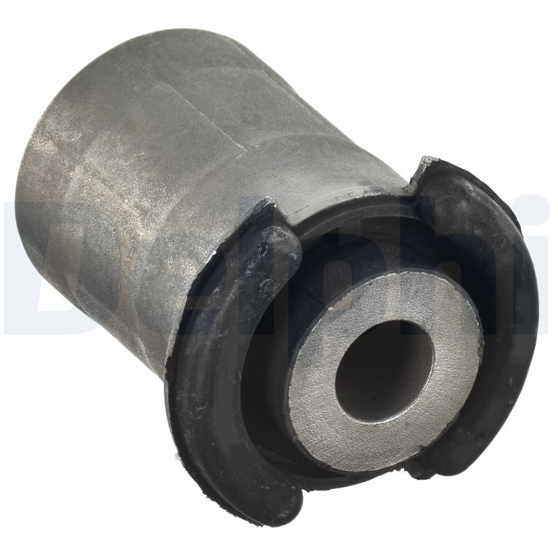 Delphi TD1117W Mounting, control/trailing arm - 1