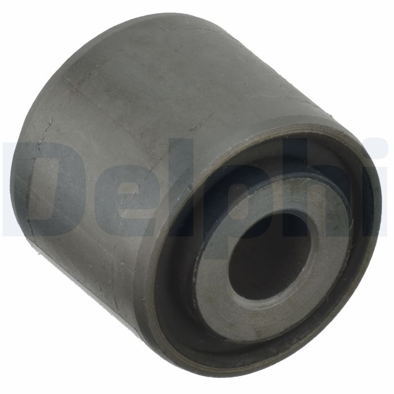 Delphi TD1155W Mounting, control/trailing arm - 1