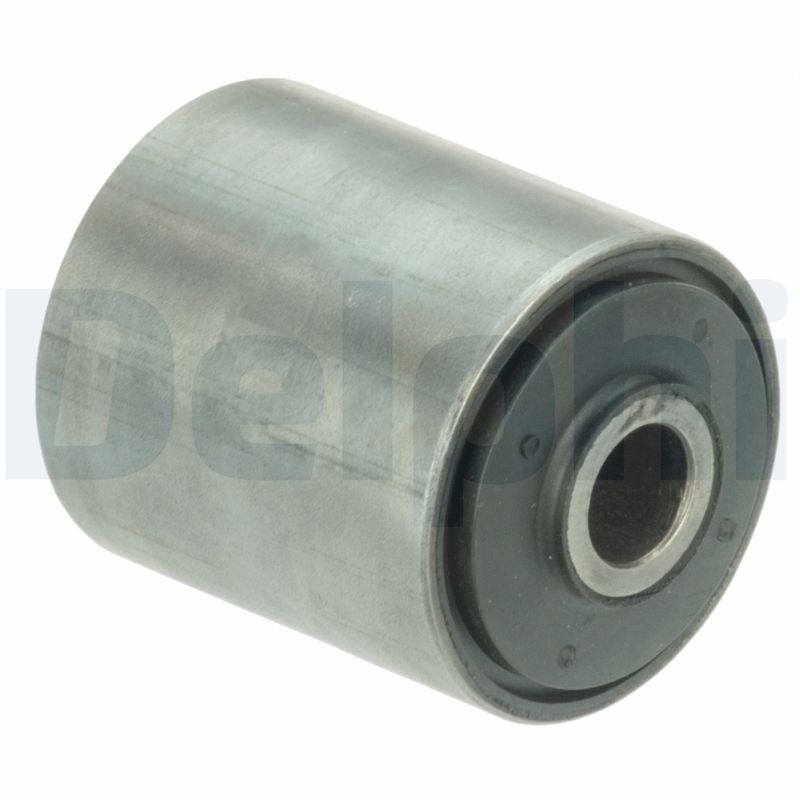 Delphi TD1193W Mounting, leaf spring - 1