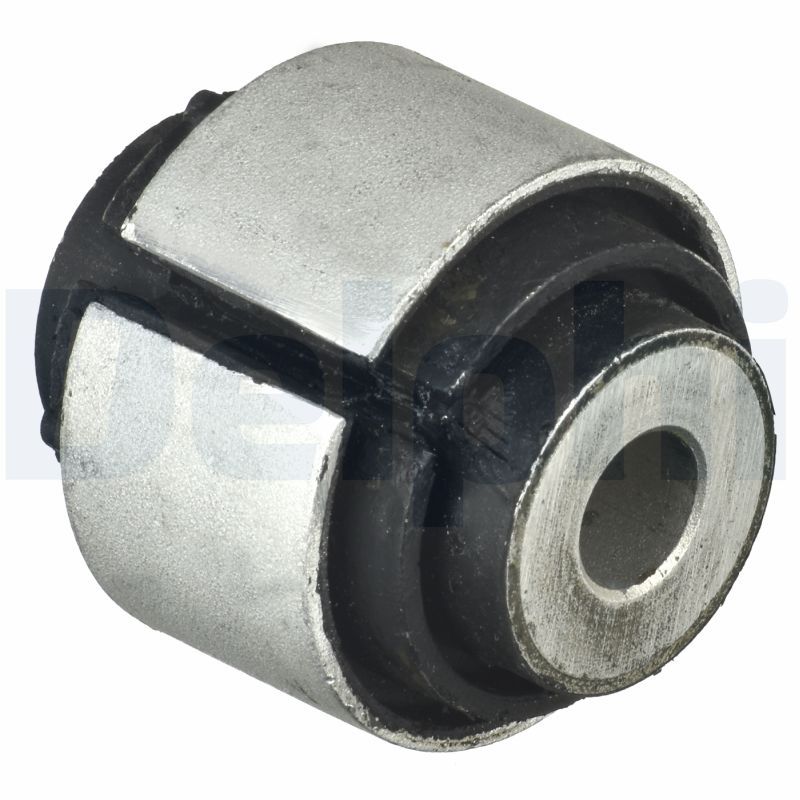 Delphi TD1616W Mounting, control/trailing arm - 1