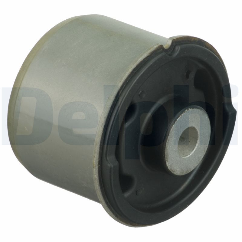 Delphi TD1629W Bushing, axle beam - 1