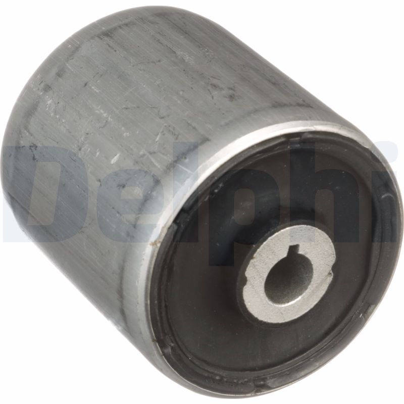 Delphi TD1638W Mounting, control/trailing arm - 1