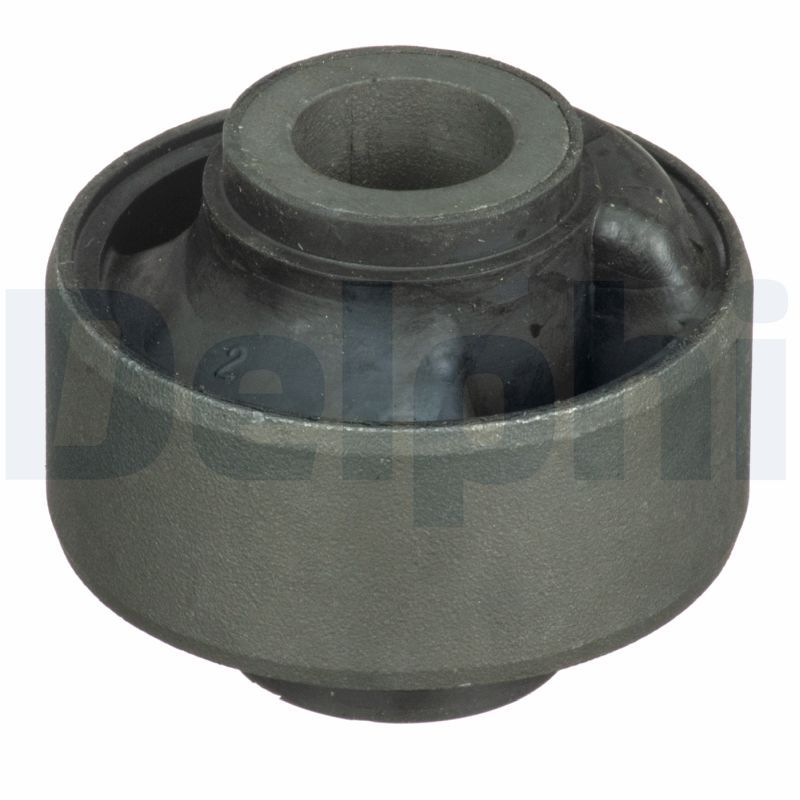 Delphi TD1646W Mounting, control/trailing arm - 1
