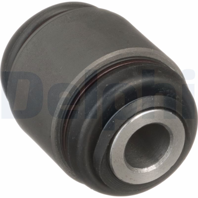 Delphi TD1656W Mounting, control/trailing arm - 1