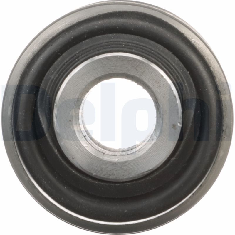 Delphi TD1656W Mounting, control/trailing arm - 2