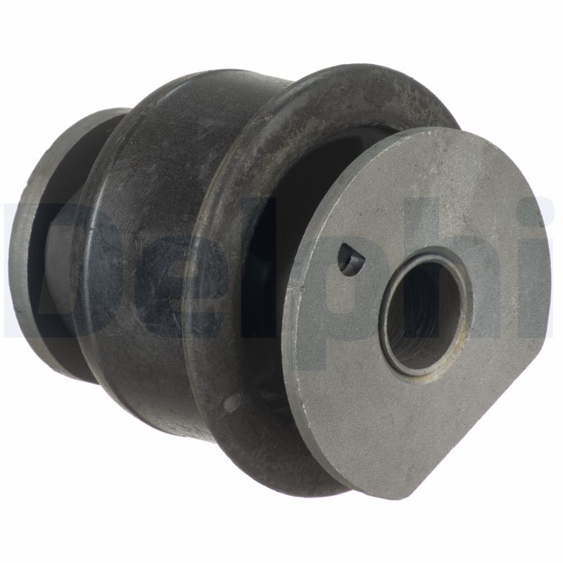 Delphi TD1825W Mounting, control/trailing arm - 1