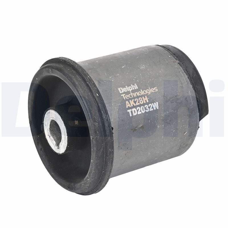 Delphi TD2032W Mounting, control/trailing arm - 1