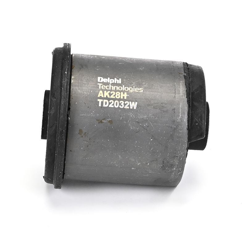 Delphi TD2032W Mounting, control/trailing arm - 2