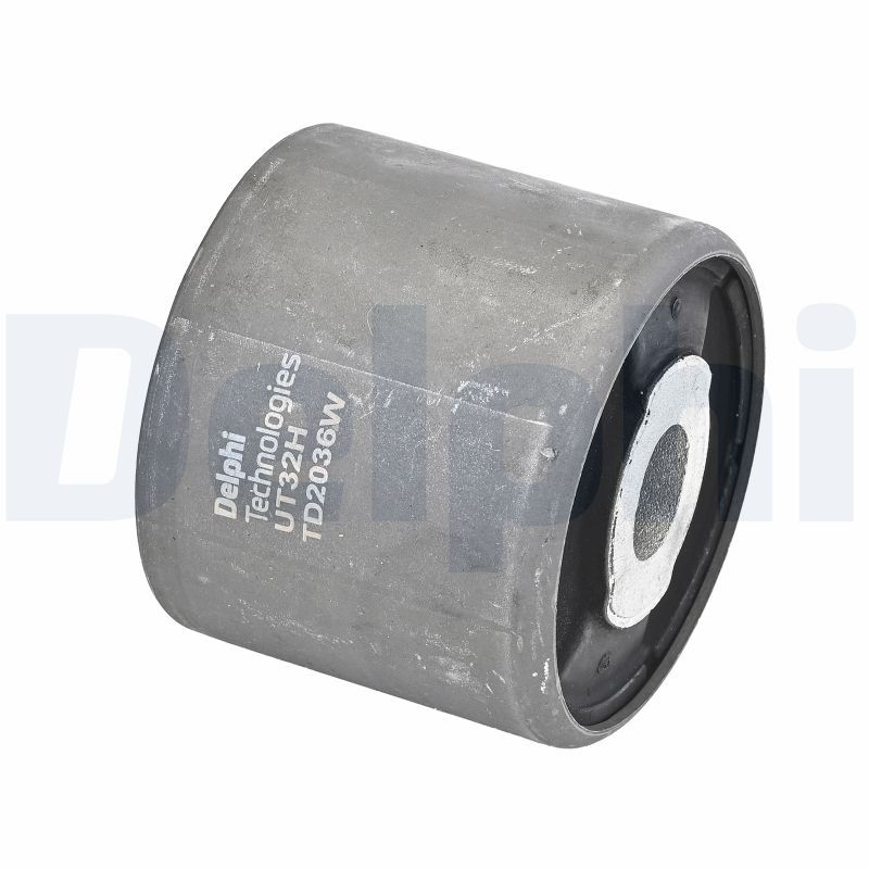 Delphi TD2036W Mounting, control/trailing arm - 1