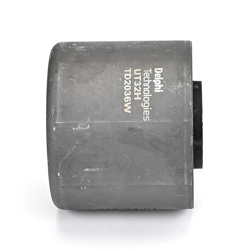 Delphi TD2036W Mounting, control/trailing arm - 2