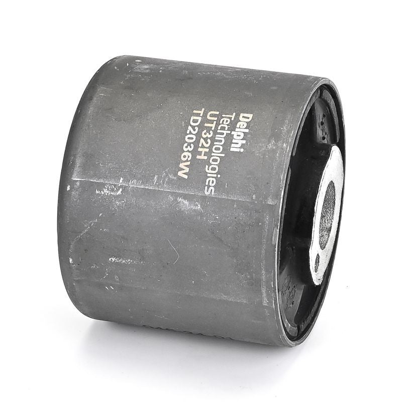 Delphi TD2036W Mounting, control/trailing arm - 3
