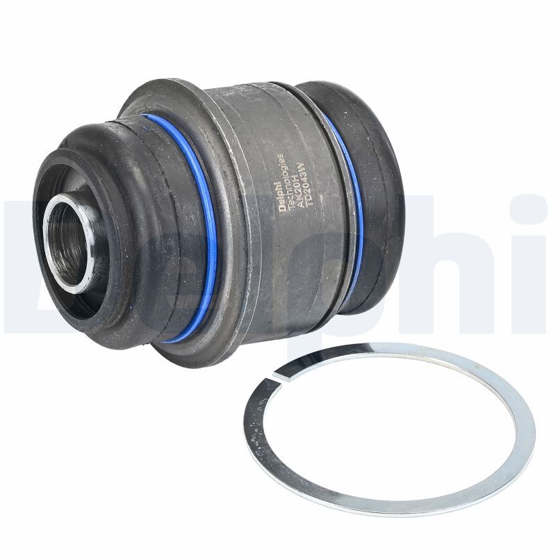 Delphi TD2043W Mounting, control/trailing arm - 1