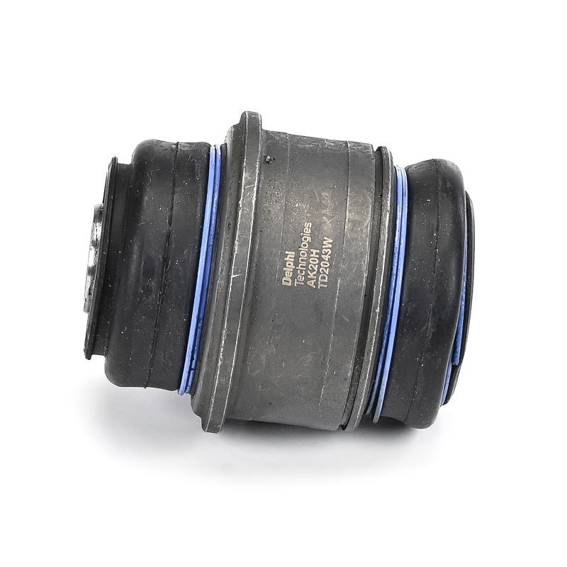 Delphi TD2043W Mounting, control/trailing arm - 2