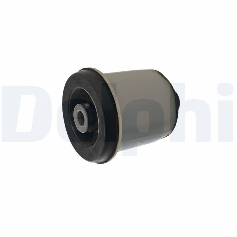 Delphi TD2048W Mounting, control/trailing arm - 1
