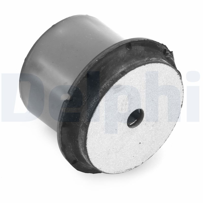 Delphi TD2061W Mounting, control/trailing arm - 1