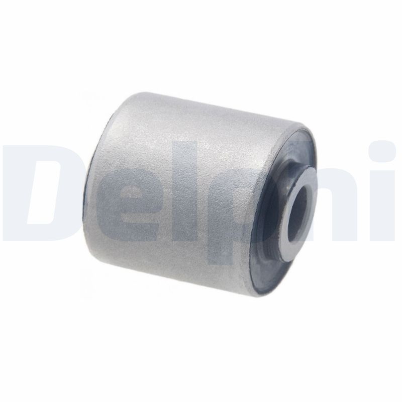 Delphi TD2067W Mounting, control/trailing arm - 1