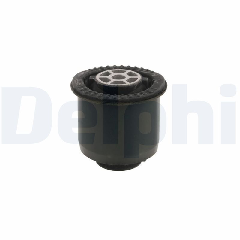 Delphi TD2068W Mounting, control/trailing arm - 1