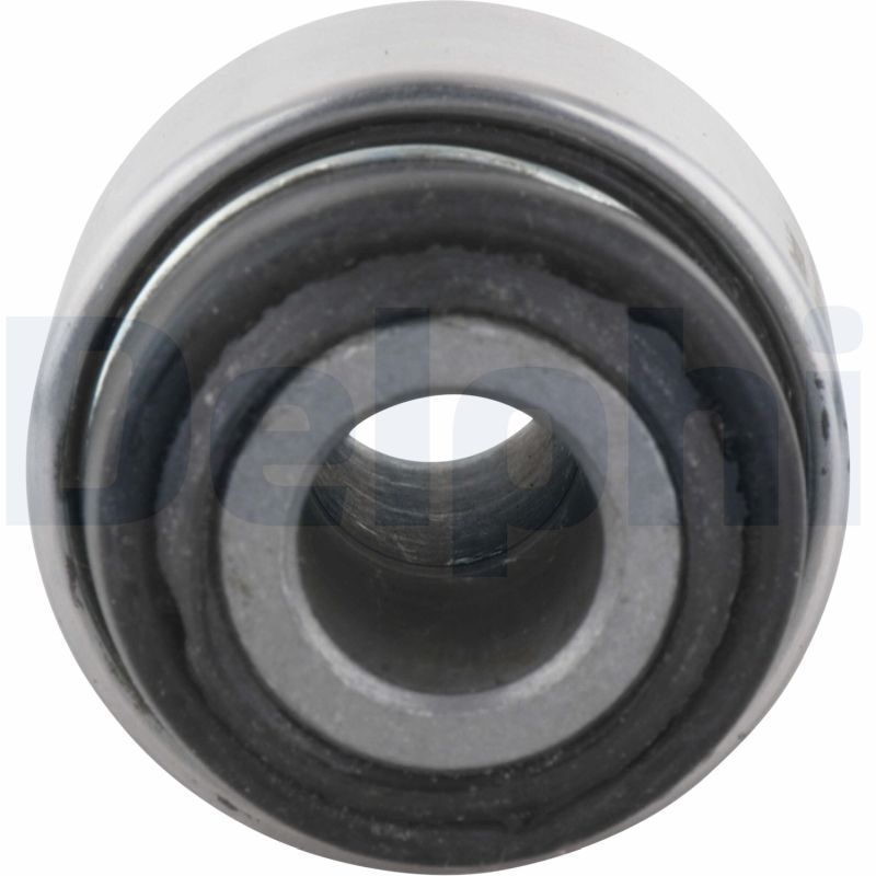 Delphi TD213W Mounting, control/trailing arm - 2