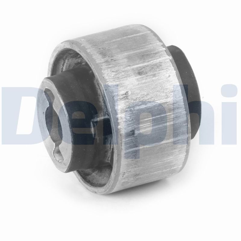 Delphi TD2143W Mounting, control/trailing arm - 1