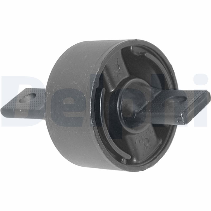 Delphi TD263W Mounting, control/trailing arm - 1