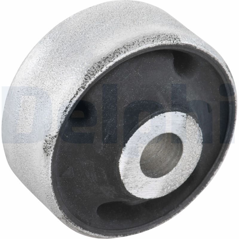 Delphi TD287W Mounting, control/trailing arm - 1