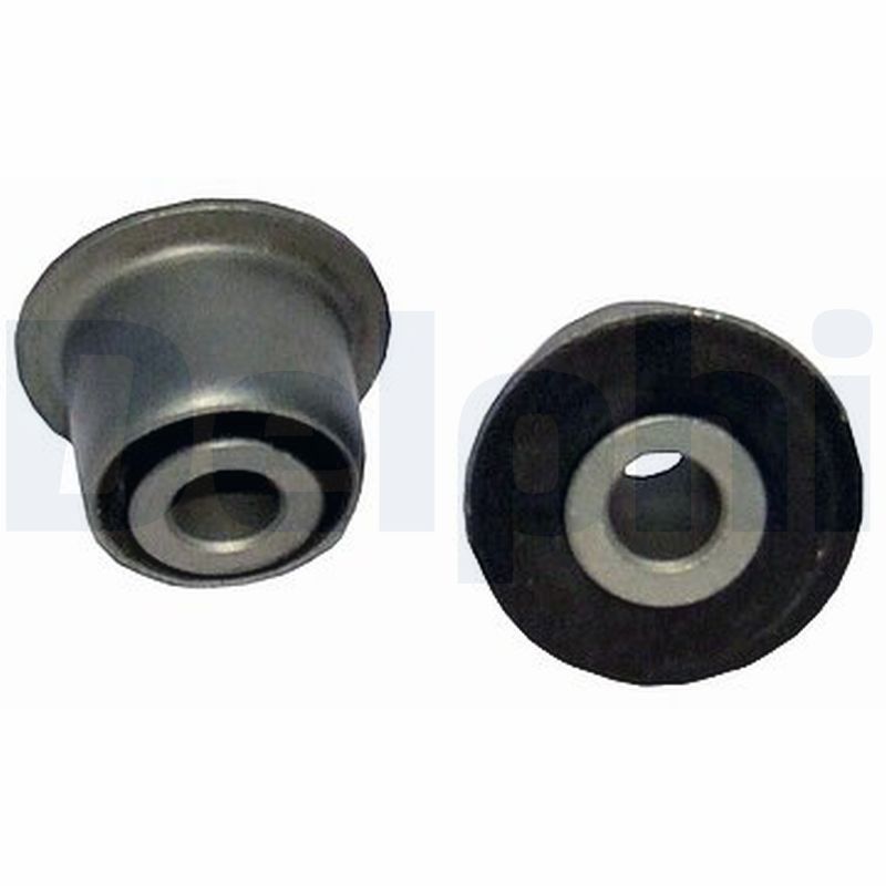 Delphi TD300W Mounting, control/trailing arm - 1