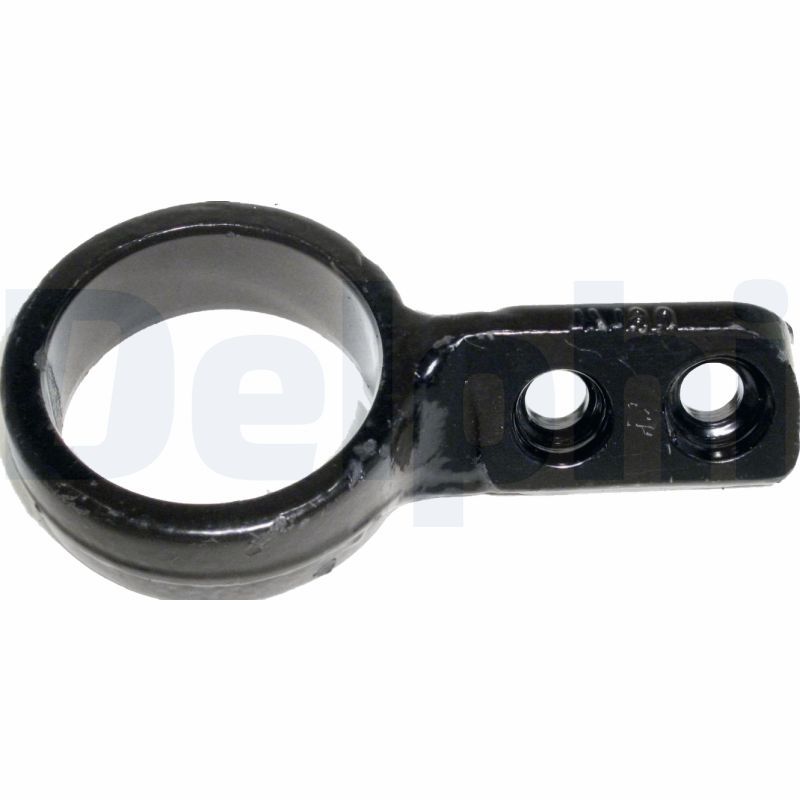 Delphi TD346W Mounting, control/trailing arm - 1