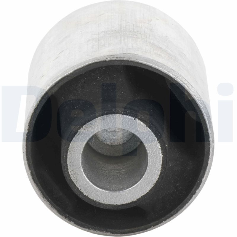Delphi TD398W Mounting, control/trailing arm - 2
