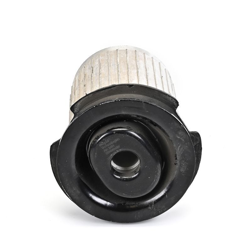 Delphi TD4004W Mounting, control/trailing arm - 2