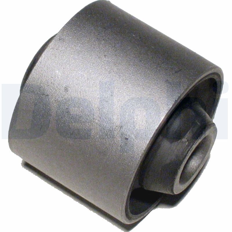 Delphi TD471W Mounting, control/trailing arm - 1