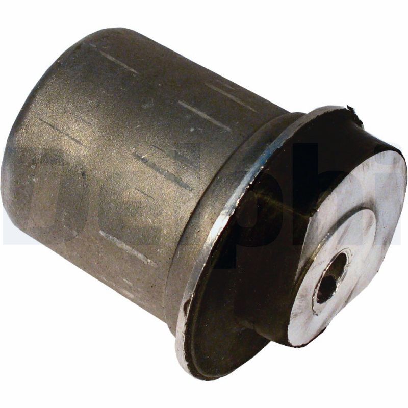 Delphi TD547W Bushing, axle beam - 1