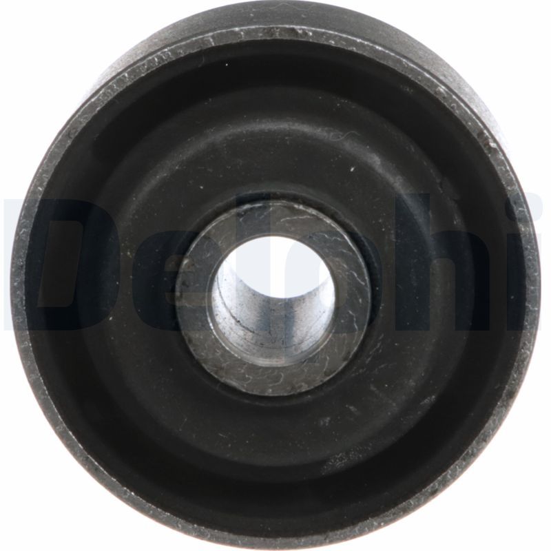 Delphi TD5569W Mounting, control/trailing arm - 2