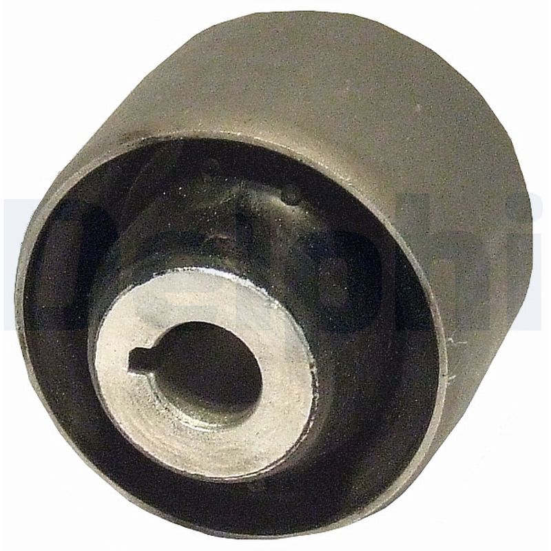 Delphi TD606W Mounting, control/trailing arm - 1