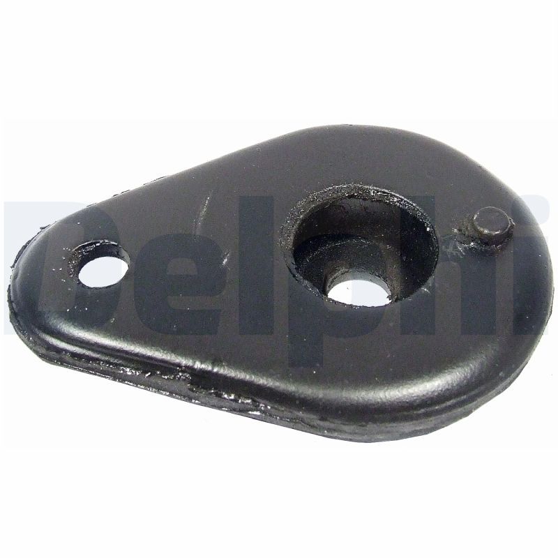 Delphi TD692W Bushing, axle beam - 1