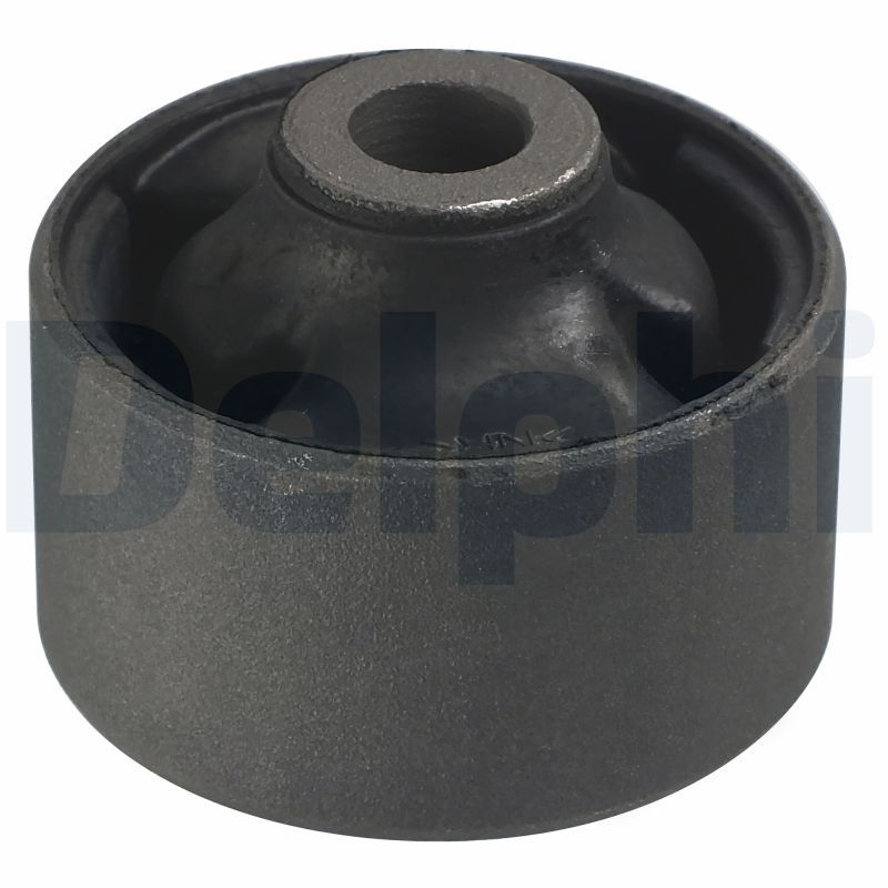 Delphi TD896W Mounting, control/trailing arm - 1