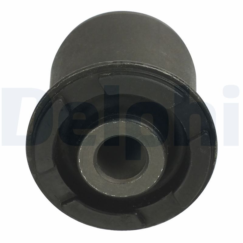 Delphi TD899W Mounting, control/trailing arm - 1