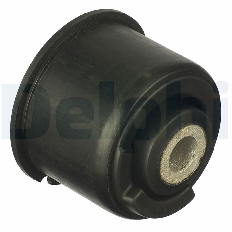 Delphi TD912W Bushing, axle beam - 1