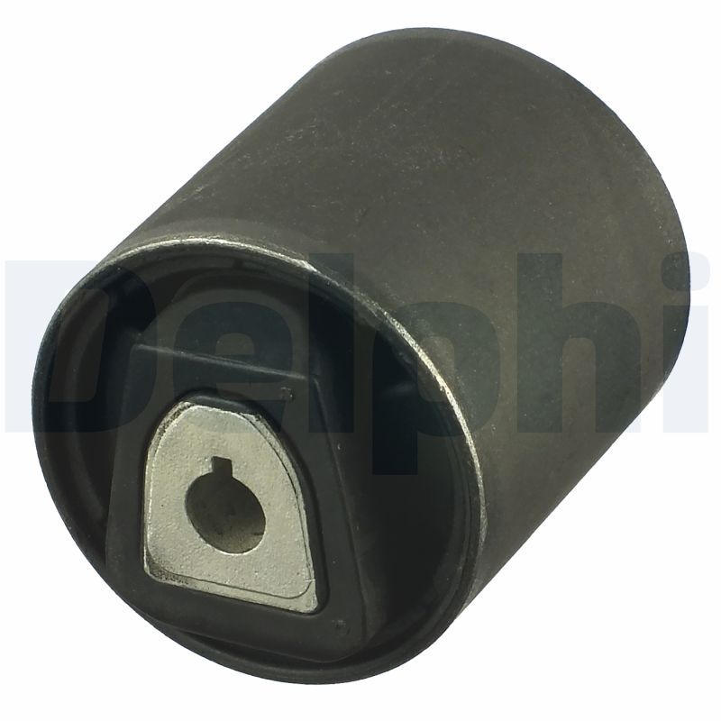 Delphi TD914W Mounting, control/trailing arm - 1