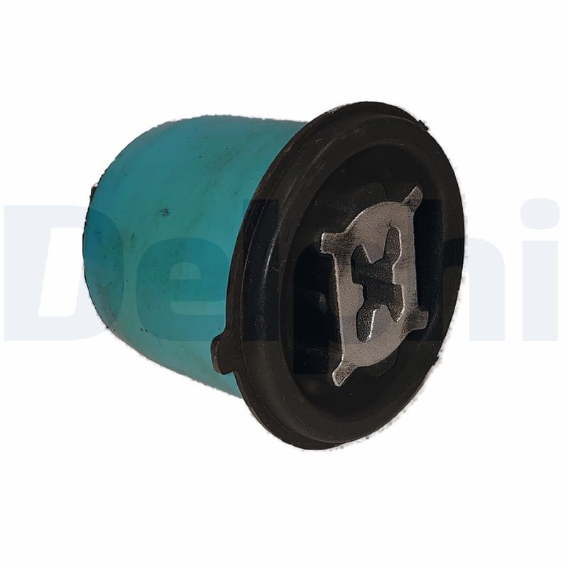 Delphi TD924W Bushing, axle beam - 1