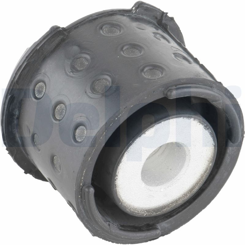 Delphi TD949W Bushing, axle beam - 1
