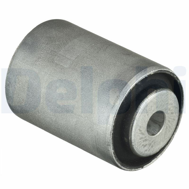 Delphi TD967W Bushing, axle beam - 1