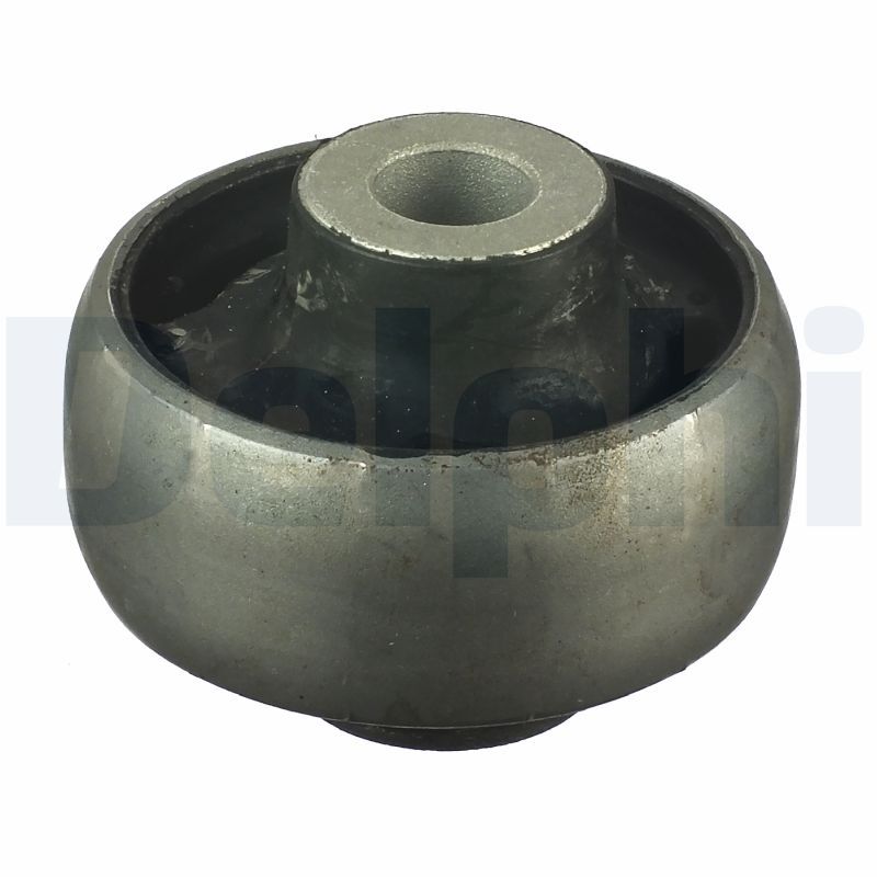 Delphi TD973W Mounting, control/trailing arm - 1