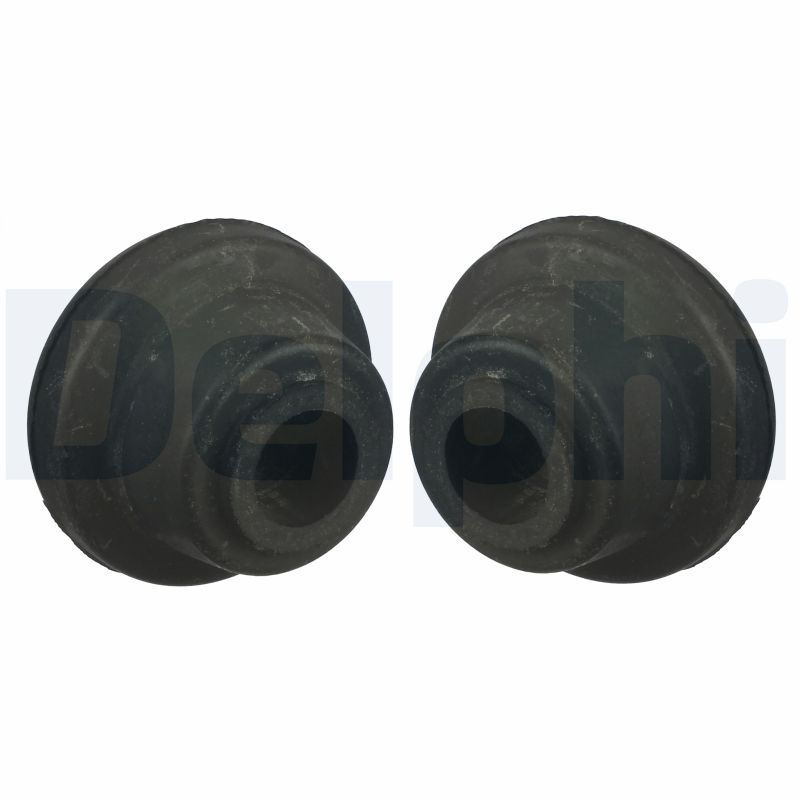 Delphi TD993W Mounting, control/trailing arm - 1