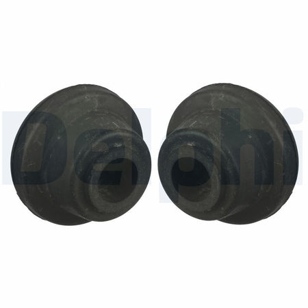 Delphi TD993W Mounting, control/trailing arm - 1