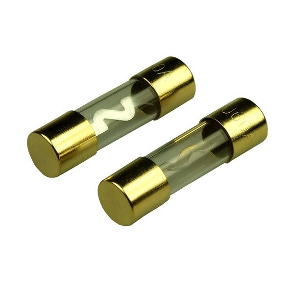 Fuse 60A AGU x2