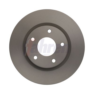 Fahren FBD6303 Brake Disc - 1