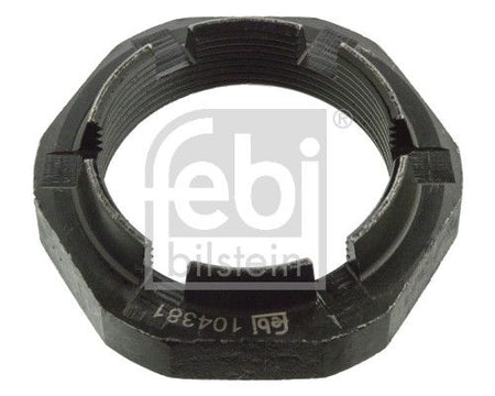 Febi 104381 Nut, kingpin - 1